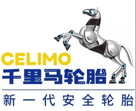 "國內先進、國際一流"