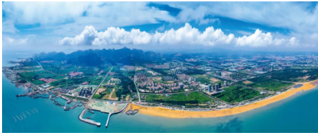 賽輪大手筆!175億元投資董家口新工廠 賽輪大手筆!175億元投資董家口新工廠