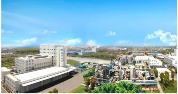 確成股份上半年凈利潤增超4成 確成股份上半年凈利潤增超4成