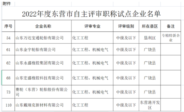 1670808972945215.png 職稱自主評(píng)審,5家輪胎企業(yè)試點(diǎn)!